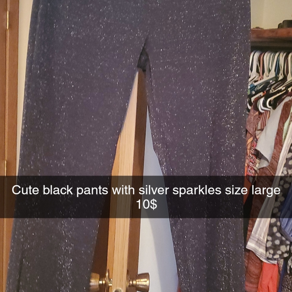 Dressy pants